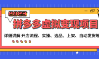 (3756)拼多多虚拟变现项目:讲解开店流程-实操-选品-上架-自动发货等