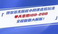 (3790)拼多多无版权小网课虚拟玩法,单天变现100-200,全程复盘大解析!
