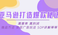 （3797）亚马逊打造爆款秘诀：高客单 高利润 推品方法 类目广告玩法 SOP详解等等（无水印课程）