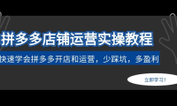 （3807）拼多多店铺运营实操教程：快速学会拼多多开店和运营，少踩坑，多盈利（无水印课程）