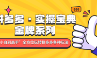 （3853）拼多多·实操宝典：金牌系列“小白到高手”带你全方位玩转拼多多各种玩法（无水印课程）