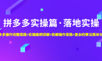 (3870)拼多多实操篇·落地实操 完整思路+实操案例+拆解操作思路+复杂的算法简单化