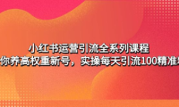 （3873）小红书运营引流全系列课程：教你养高权重新号，实操每天引流100精准粉