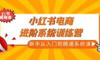 (3875)小红书电商进阶系统训练营:新手从入门到精通系统课(21节视频课)