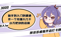(3910)拼多多虚拟开店打卡群:新手到入门到精通(昨日群里有小伙伴日入3000+)