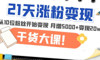 （3912）21天精准涨粉变现干货大课：从10位粉丝开始变现 月增5000+变现20w+