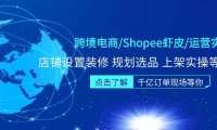 (3932)跨境电商/Shopee虾皮/运营实战训练营:店铺设置装修 规划选品 上架实操等等