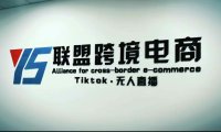 (3945)Tiktok无人直播,不出镜不剪辑不拍摄不发货无售后的跨境短视频躺赚玩法