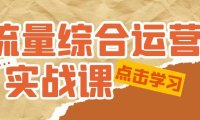 (3954)流量综合·运营实战课:短视频、本地生活、个人IP知识付费、直播带货运营
