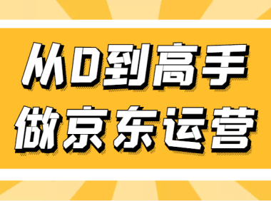 (3699)专业京东运营8年实操讲师教你从0到高手做京东运营