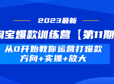 (3716)淘宝爆款训练营【第11期】 从0开始教你运营打爆款,方向+实操+放大