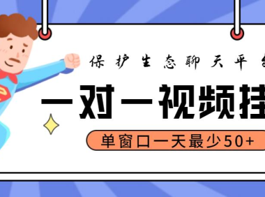 (3722)最新保护生态一对一视频挂机聊天项目,单窗口一天最少50+【永久脚本+教程】