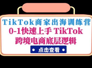 (3732)TikTok商家出海训练营:0-1快速上手 TikTok跨境电商底层逻辑