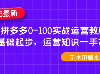 （3762）2023拼多多0-100实战运营教程，0基础起步，运营知识一手掌握（无水印课程）