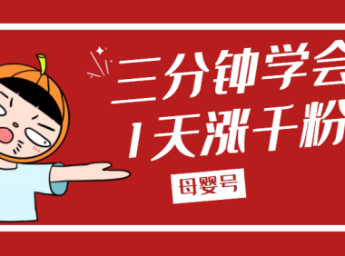 （赠送文件）3分钟学会母婴号如何1天涨千粉【完整版】