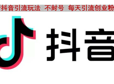 （3775）抖音语音交流引流创业粉玩法，流量爆炸，一天创业粉100+