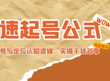 （3779）极速起号公式，个人ip起号与定位认知逻辑，实操干货分享（无水印课程）