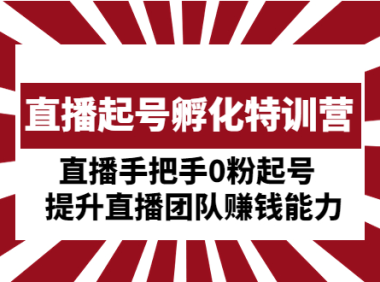 （3791）直播起号孵化特训营：直播手把手0粉起号 提升直播团队赚钱能力（无水印课程）