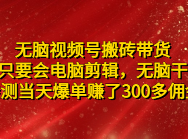 (3793)无脑视频号搬砖带货,只要会电脑剪辑,无脑干,亲测当天爆单赚了300多佣金