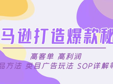 （3797）亚马逊打造爆款秘诀：高客单 高利润 推品方法 类目广告玩法 SOP详解等等（无水印课程）
