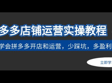 （3807）拼多多店铺运营实操教程：快速学会拼多多开店和运营，少踩坑，多盈利（无水印课程）