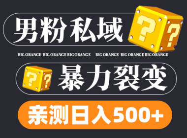 (3813)男粉私域项目:亲测男粉裂变日入500+(视频教程)