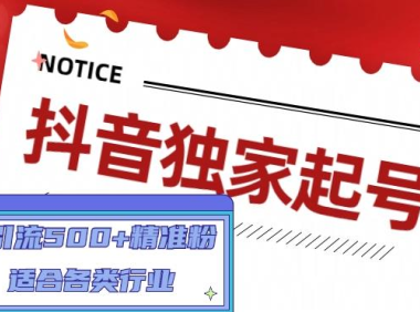 (3823)抖音独家起号,一天引流500+精准粉,适合各类行业(9节视频课)