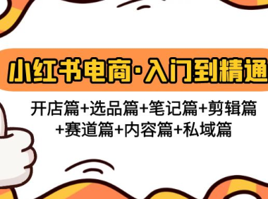 (3827)小红书电商入门到精通 开店篇+选品篇+笔记篇+剪辑篇+赛道篇+内容篇+私域篇