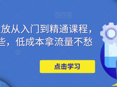（3830）万相台投放·新手到精通课程，学会这些，低成本拿流量不愁！（无水印课程）
