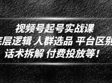 （3842）视频号起号实战课：底层逻辑 人群选品 平台区别 话术拆解 付费投放等！