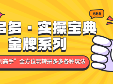 （3853）拼多多·实操宝典：金牌系列“小白到高手”带你全方位玩转拼多多各种玩法（无水印课程）