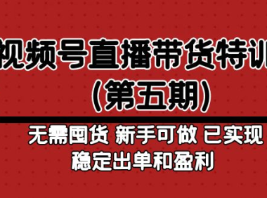（3865）视频号直播带货特训营（第五期）无需囤货 新手可做 已实现稳定出单和盈利