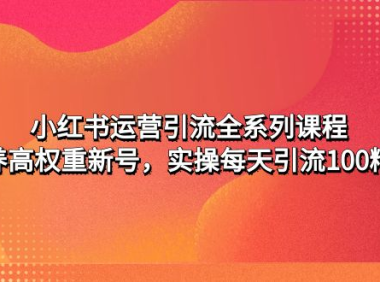 （3873）小红书运营引流全系列课程：教你养高权重新号，实操每天引流100精准粉