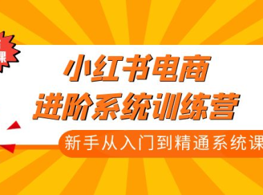 (3875)小红书电商进阶系统训练营:新手从入门到精通系统课(21节视频课)
