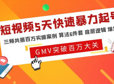 （3880）短视频5天快速暴力起号，三频共振百万实操案例 算法6件套 底层逻辑 爆爆爆