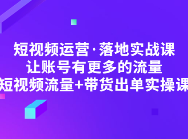 （3885）短视频运营·落地实战课 让账号有更多的流量（短视频流量+带货出单实操）