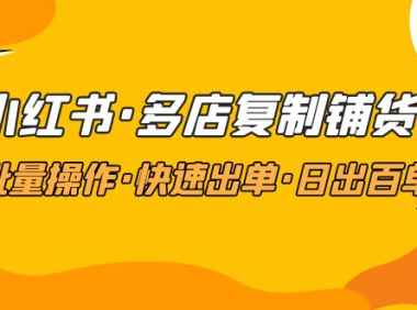 (3892)小红书·多店复制铺货课,批量操作·快速出单·日出百单(更新2023年2月)