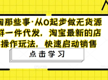 (3905)从0起步做无货源店群一件代发,淘宝最新的店群操作玩法,快速启动销售