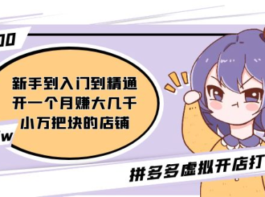 (3910)拼多多虚拟开店打卡群:新手到入门到精通(昨日群里有小伙伴日入3000+)