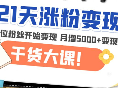 （3912）21天精准涨粉变现干货大课：从10位粉丝开始变现 月增5000+变现20w+