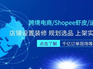 (3932)跨境电商/Shopee虾皮/运营实战训练营:店铺设置装修 规划选品 上架实操等等