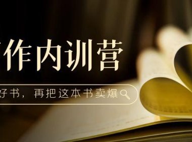 (3943)写作内训营:百万级大佬教你如何写一本好书,再把这本书卖爆!