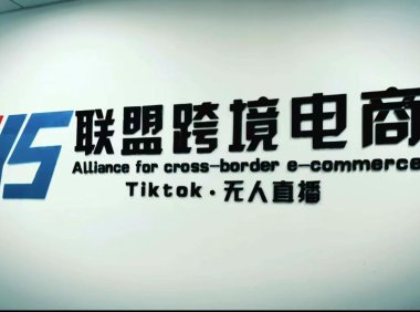 (3945)Tiktok无人直播,不出镜不剪辑不拍摄不发货无售后的跨境短视频躺赚玩法
