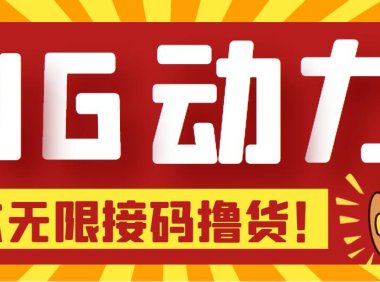 (3951)【偷撸项目】某骗子平台接码无限撸货项目 自动接码养号无限撸【脚本+教程】
