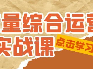 (3954)流量综合·运营实战课:短视频、本地生活、个人IP知识付费、直播带货运营