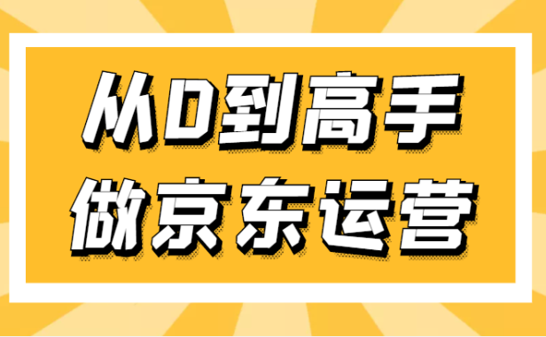 （3699）专业京东运营8年实操讲师教你从0到高手做京东运营