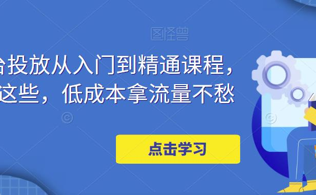 （3830）万相台投放·新手到精通课程，学会这些，低成本拿流量不愁！（无水印课程）