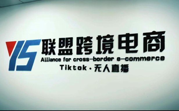 （3945）Tiktok无人直播，不出镜不剪辑不拍摄不发货无售后的跨境短视频躺赚玩法