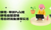 （3960）视频号·带货Puls班，视频号底层逻辑，起号自然流鱼塘等玩法