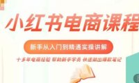 (3983)小红书电商新手入门到精通实操课,从入门到精通做爆款笔记,开店运营